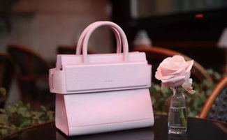 网红效应 奢侈品营销的双刃剑