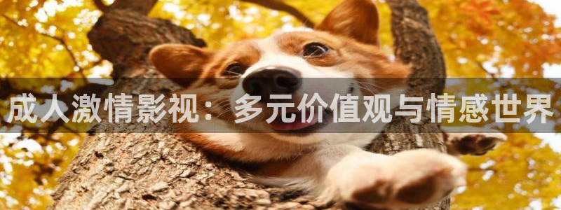 好看影院：成人激情影视：多元价值观与情感世界