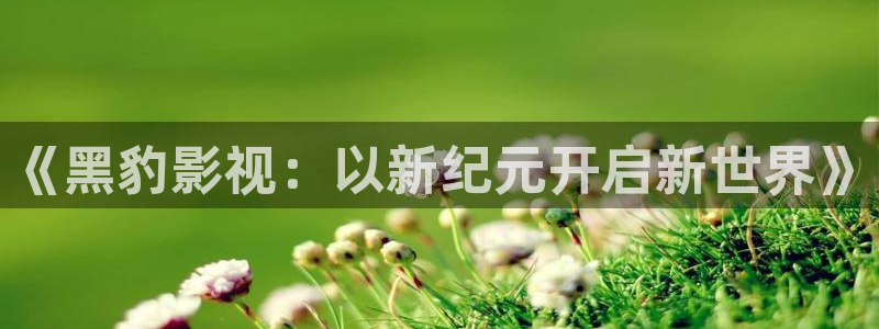 好好看影院：《黑豹影视：以新纪元开启新世界》
