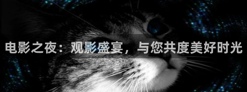 好看影院在线观看：电影之夜：观影盛宴，与您共度美好时光