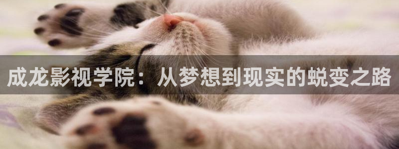 四虎好看影院：成龙影视学院：从梦想到现实的蜕变之路