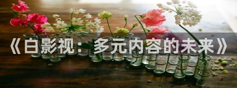 《四库影视》电视剧在线观看-好看影院：《白影视：多元内容的未来》