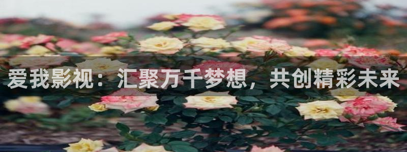 《四库影视》电视剧在线观看-好看影院：爱我影视：汇聚万千梦想，共创精彩未来