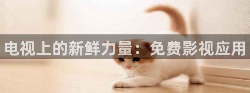 《四库影视》电视剧在线观看-好看影院：电视上的新鲜力量：免费影视应用