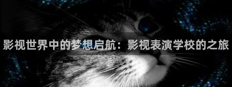 好看影院：影视世界中的梦想启航：影视表演学校的之旅